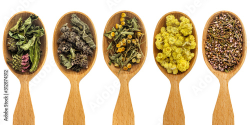 Several wooden spoons with different dry medicinal herbs and flowers for treatment