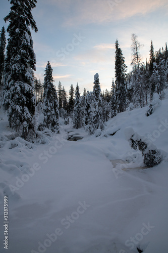 Finland Lapland Rovaniemi Winter Wilderness