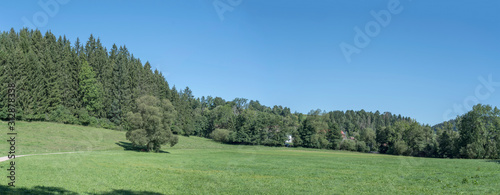 Fototapeta Naklejka Na Ścianę i Meble -  green Heimbach valley, near Betzweiler, Black Forest, Germany
