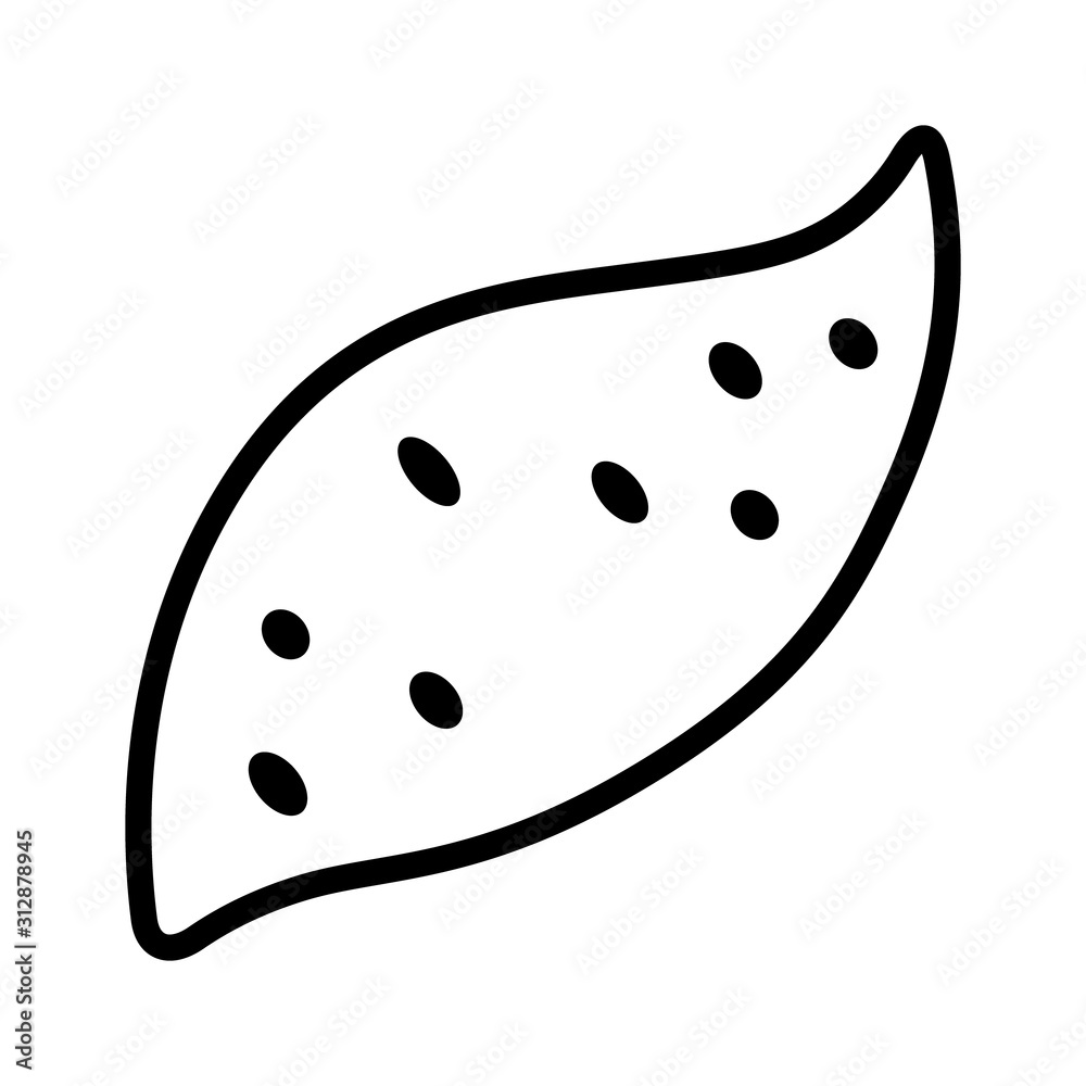 Yam or sweet potato / sweetpotato line art vector icon for food apps and websites Yam or sweet potato / sweetpotato line art vector icon for food apps and websites