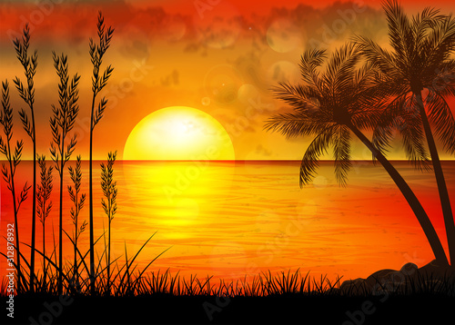 A Tropical Sunset with Palm Trees