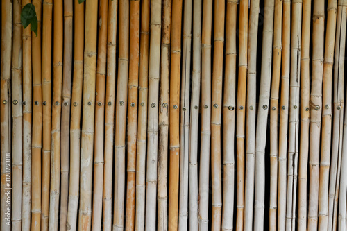 Bamboo pipe background.Wooden background with sections of bamboo canes and shadows.