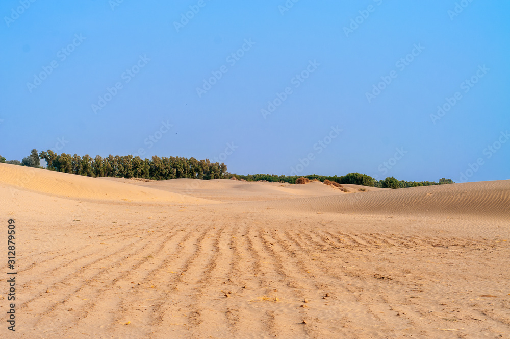 An oasis in the Thar desert An oasis in the Thar desert