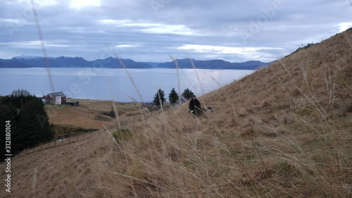 Sheep farmer comes in from the pastures with his two border collies - idyllic rural background with fields, lake, shoreline and mountain range photo