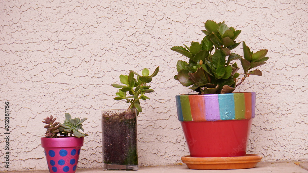 Naklejka premium random clicks