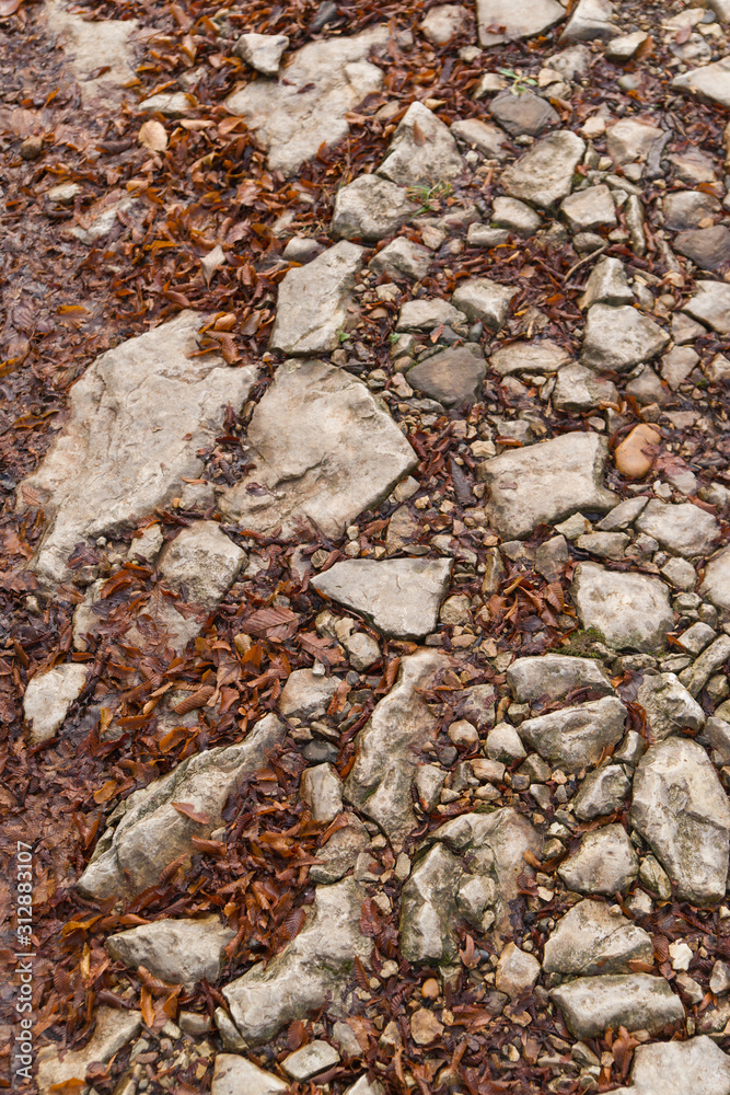 the rocky surface pattern. cobblestones and last year's leaves on the road background the rocky surface pattern. cobblestones and last year's leaves on the road background