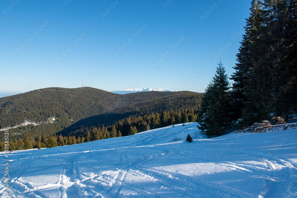 A ski trail on a sunny day high up in the mountains with ski trails leading down the mountain and a mountain range in the background