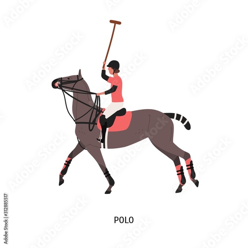 Horse polo flat vector illustration