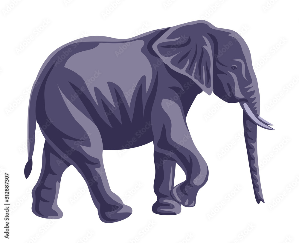 indian elephant walking isolated vector