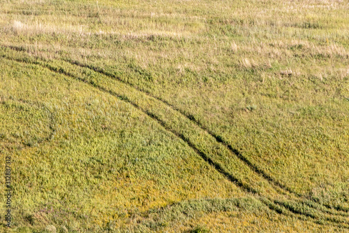 Fresh car trail crossing a meadow valley photo