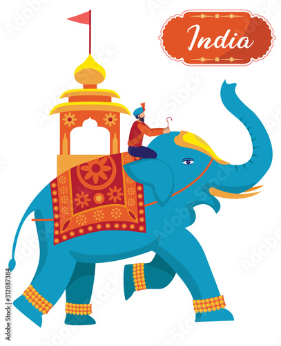 man riding royal indian elephant vector