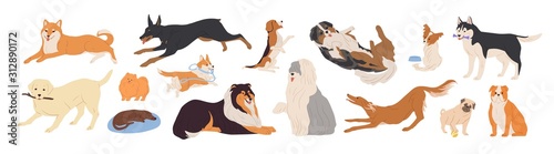 Fotografie, Obraz Playful dogs flat vector illustrations set