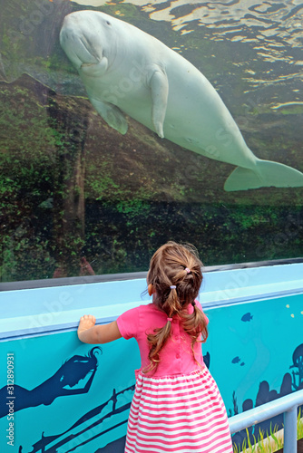 Photography Baby girl in Sydney aquarium admiring a huge dugong, Australia