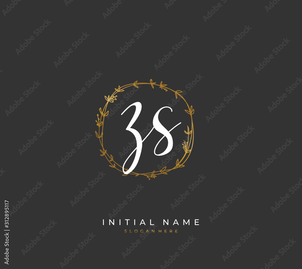 Handwritten letter Z S ZS for identity and logo. Vector logo template with handwriting and signature style. Handwritten letter Z S ZS for identity and logo. Vector logo template with handwriting and signature style.