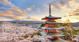 Fuji Mountain and Chureito Pagoda with Pink Sakura, Japan