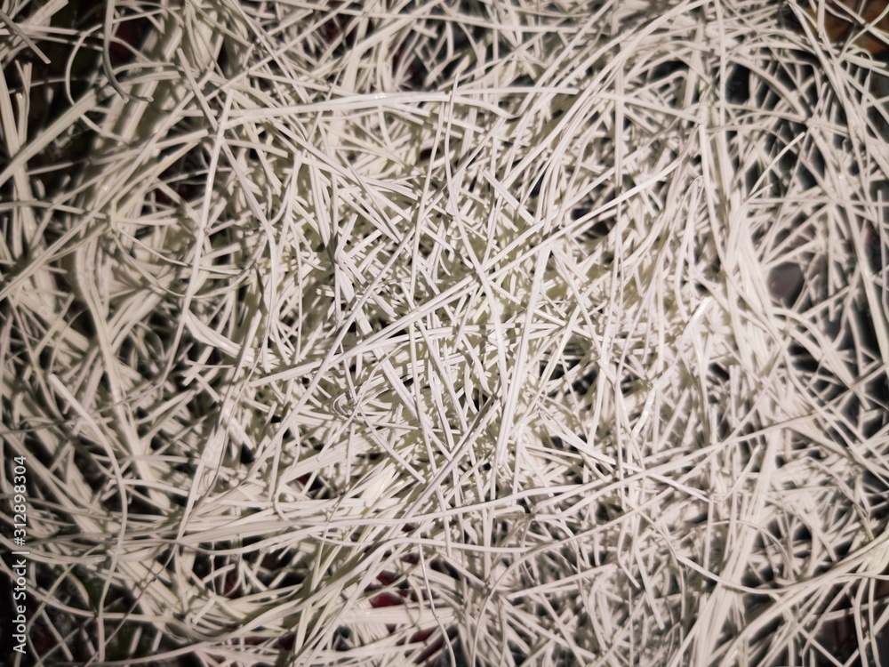 background of dry straw