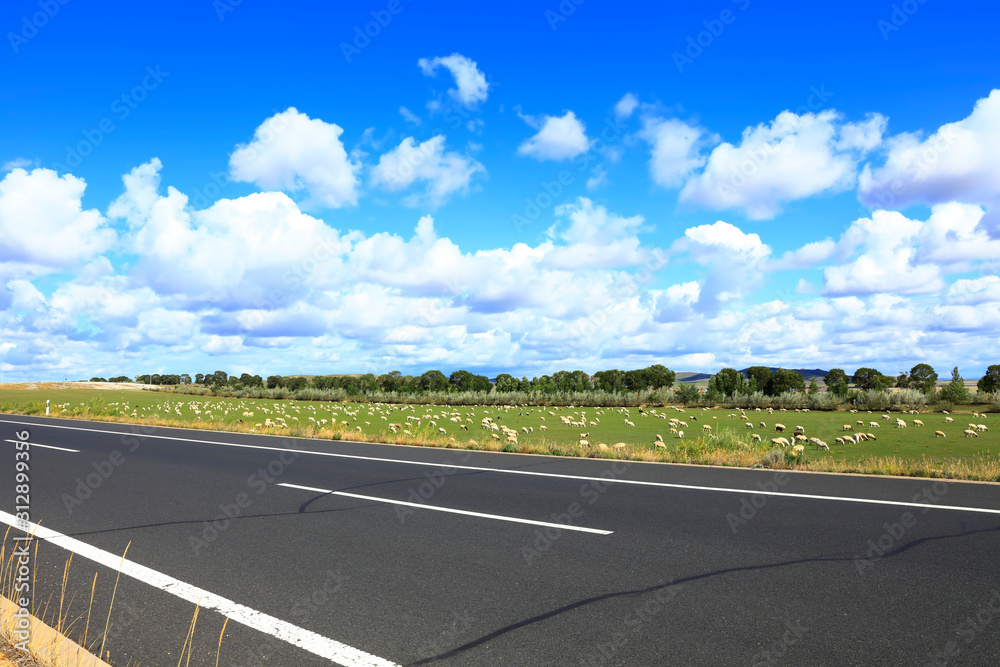 The highway and a flock of sheep The highway and a flock of sheep