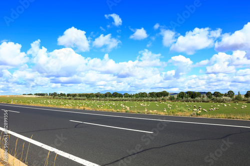 The highway and a flock of sheep © zhengzaishanchu