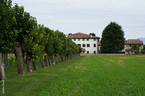 Alla scoperta di una piccola città nel centro del Friuli Venezia Giulia