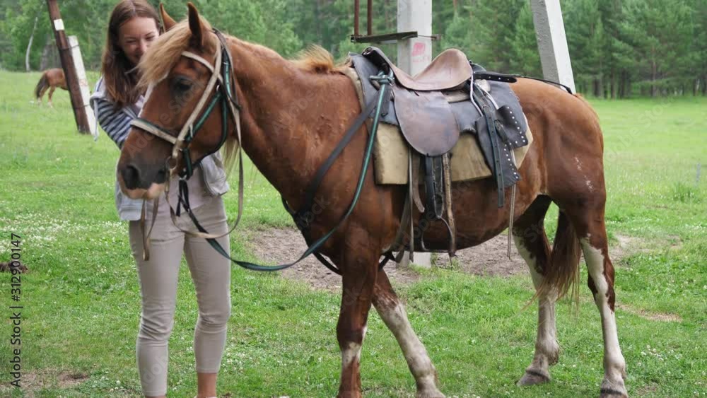 Pretty girl smiles stroking smooth velvety bay horse hair. slow motion Pretty girl smiles stroking smooth velvety bay horse hair. slow motion