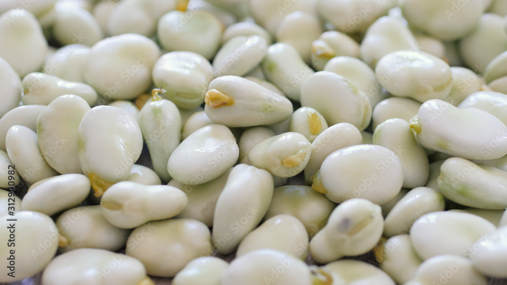Raw, fresh fava beans. Closeup