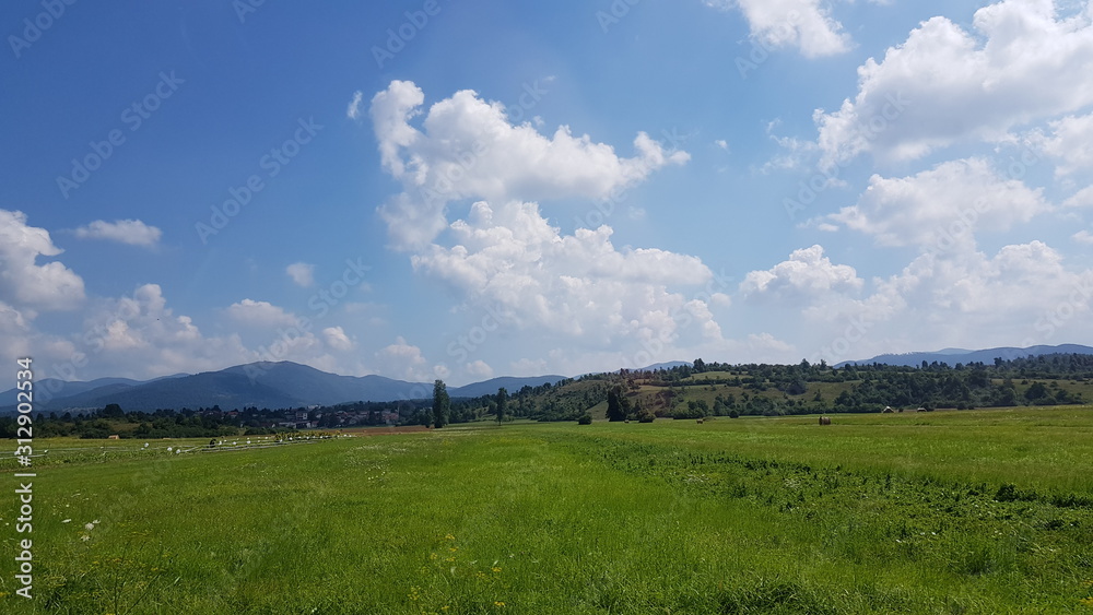 green field and blue sky in Slovenia