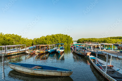 Gambia Mangroves. Lamin Lodge. Traditional long boats. Green mangrove trees in forest. Gambia. © Curioso.Photography