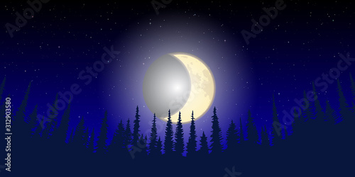 Night landscape. The moon rises over the forest.