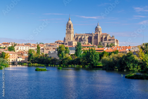Salamanca Cathedral and cityscape over Tormes river. Salamanca, Spain. © Stanislav