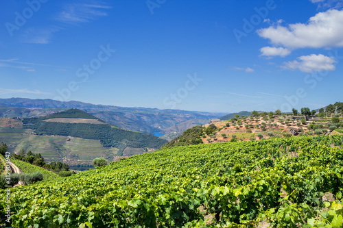 Douro Valley landscape