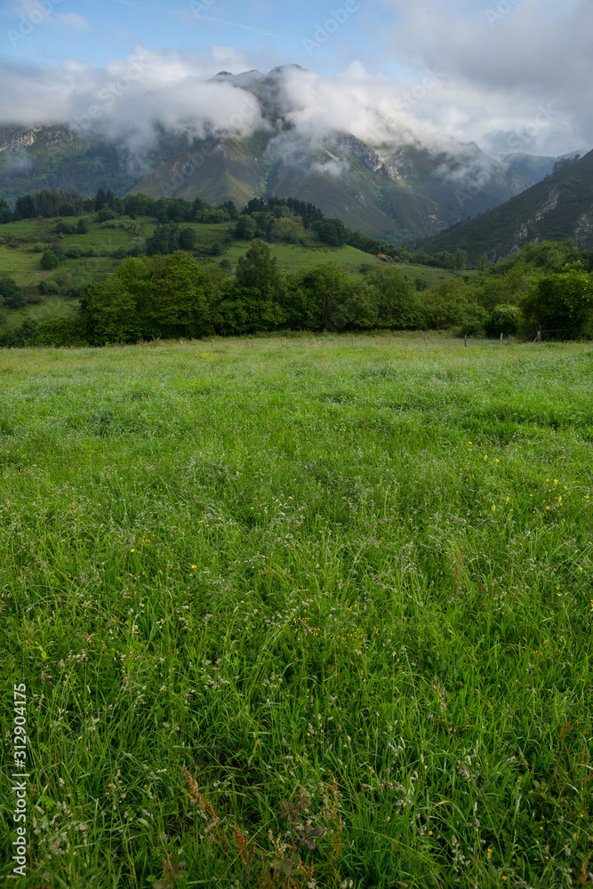 Fototapeta premium Picos de Europa