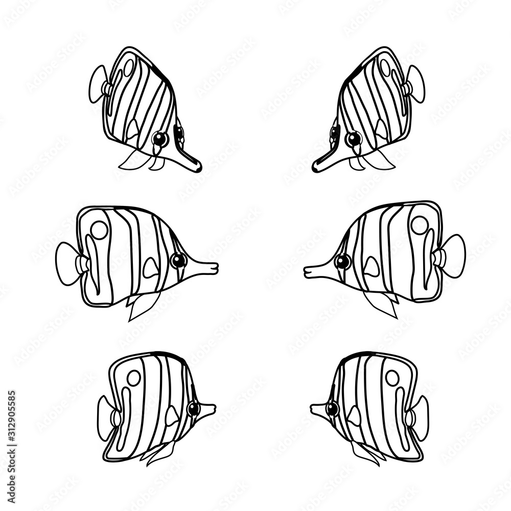 vector line cartoon animal clip art vector line cartoon animal clip art