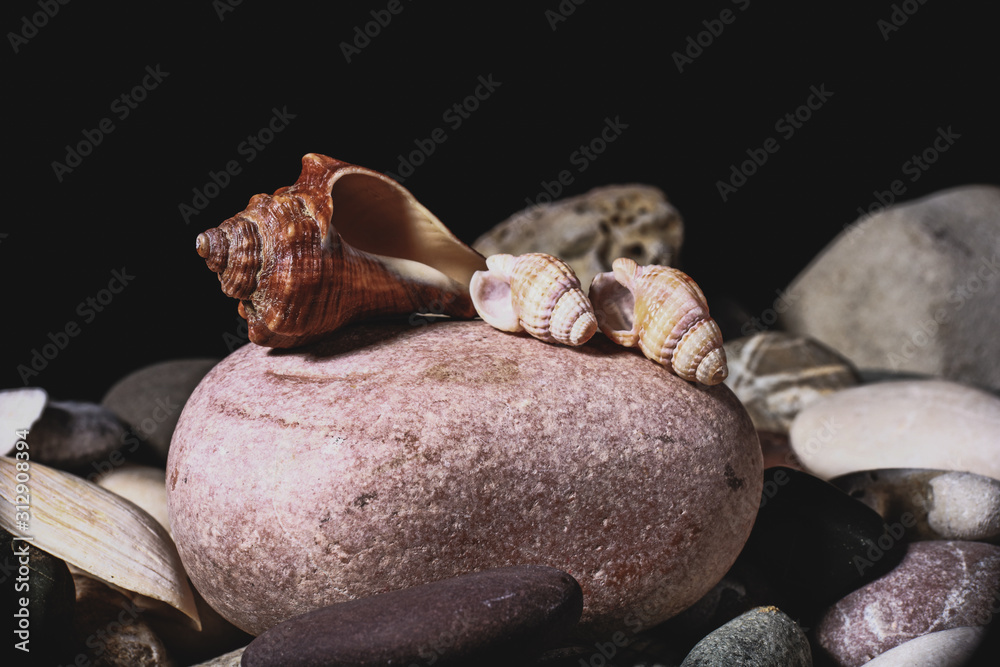 seashells and stones for rest and relaxation seashells and stones for rest and relaxation