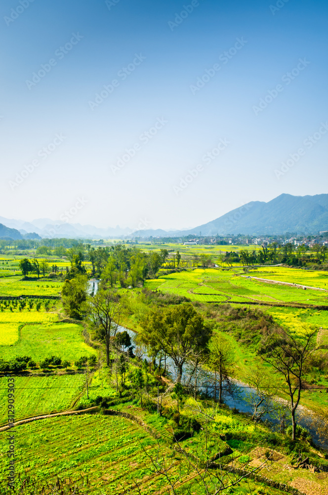 The landscape with rice fields and mountains