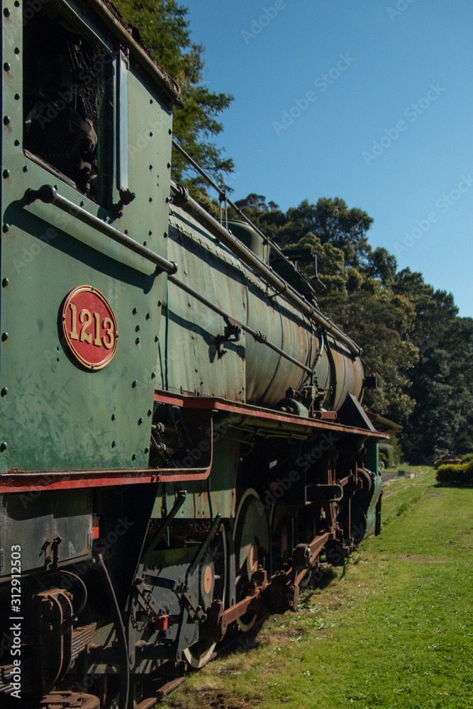 Naklejka premium Train