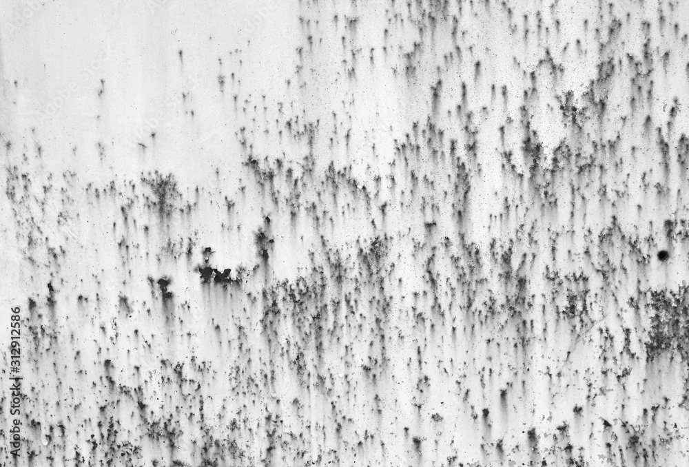 Fototapeta premium White corroded metal surface for background