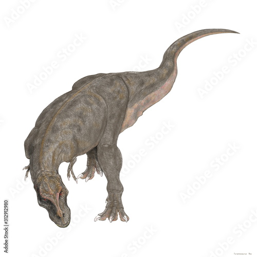 白亜紀後期の恐竜時代の終焉を飾る大型の肉食恐竜であり、様々な化石が発見されている。雌雄の大きさの違いや、家族単位での群れの形成等、生態への探求が今も続いている。上下の顎は重く鼻先は細長い。頭部を真正面から見るとフクロウのような視野の広がりをもつ。巨大な上顎が視野を妨げるような構造ではなく、獲物との距離感が正確につかめるような構造である。イラストは斜め上から全身を描いた。 © Mineo