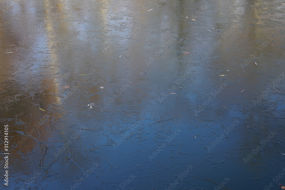 Vereiste Wasserfläche mit der Spiegelung von Bäumen im Sonnenlicht