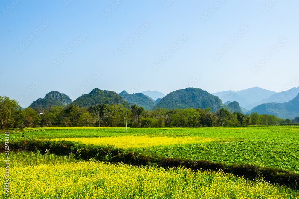 Countryside landscape with mountain in spring
