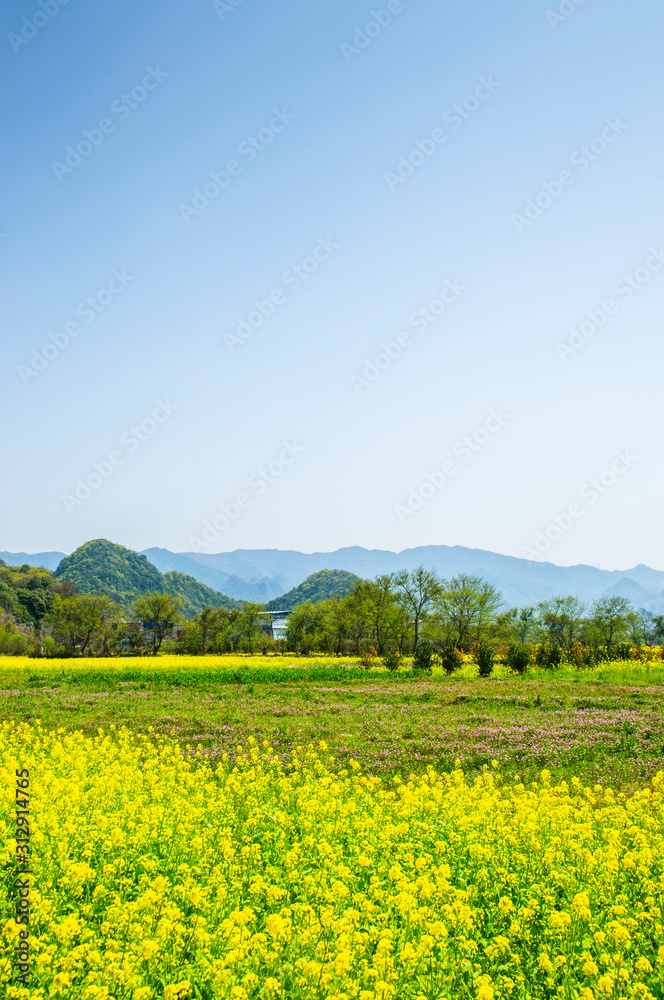 Countryside scenery in spring season Countryside scenery in spring season