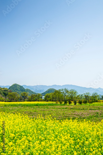 Countryside scenery in spring season