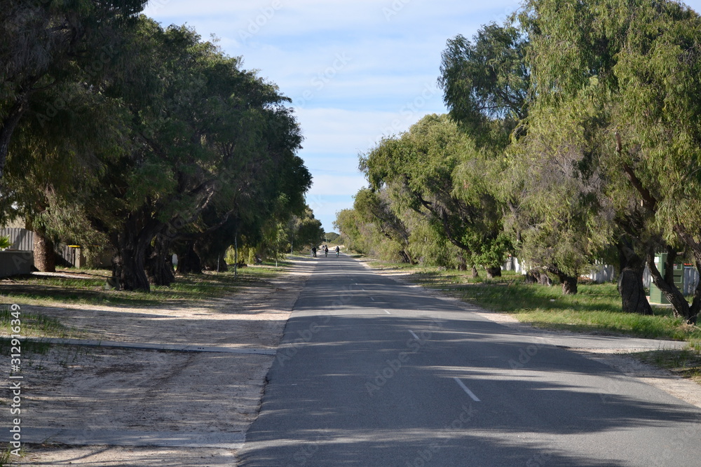 Traffic free road Rotnest Island Perth Traffic free road Rotnest Island Perth