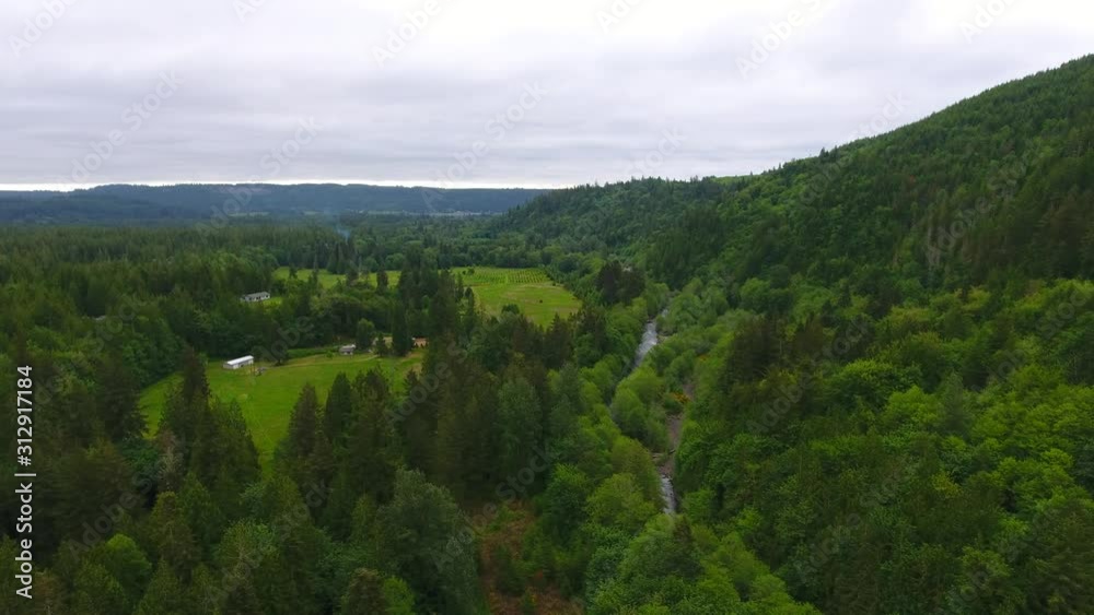 Aerial over small farms and clearings in a thick forest. Aerial over small farms and clearings in a thick forest.
