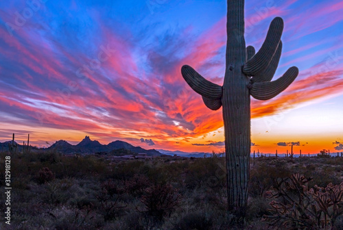 Colorful Arizona Sunset With Solo Cactus