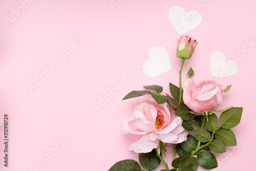 pink roses with heart shape on pink background. copy space