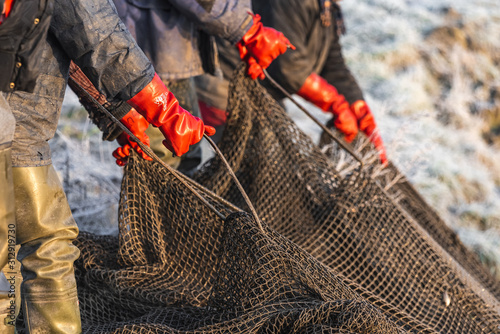 Photo Several fishermen pull in his nets full of fish during the winter period