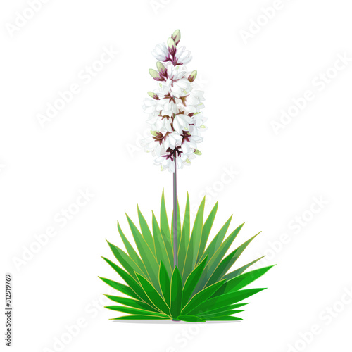 vector cartoon plants clip art