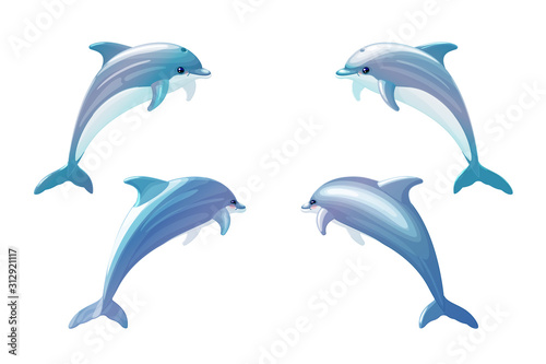 vector cartoon animal clip art bottlenose dolphins