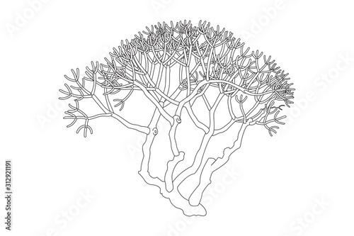 vector hand drawn plant clip art