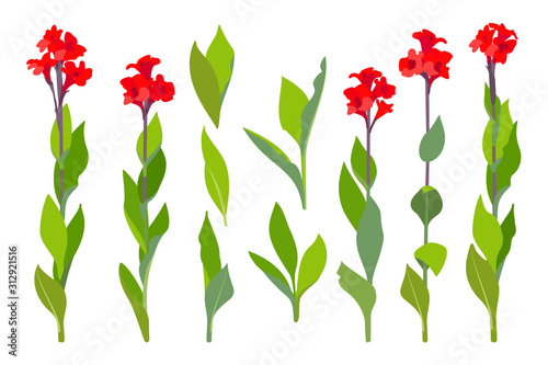 vector hand drawn plant clipart